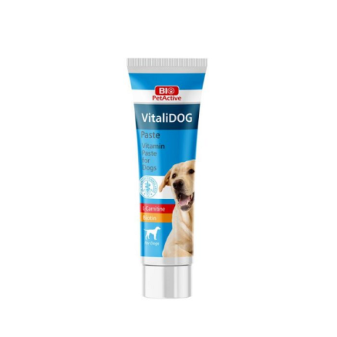 Bio Petactive Vitalidog Multivitamin Paste για Σκύλους 100ml