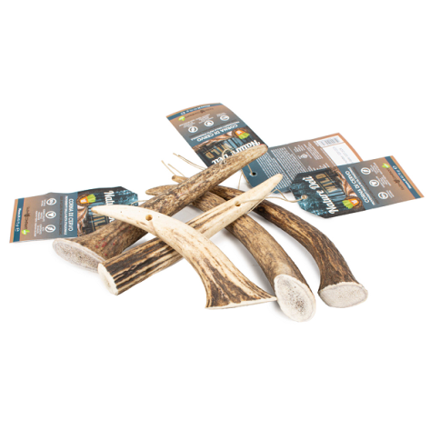 Natural Deer Antler L