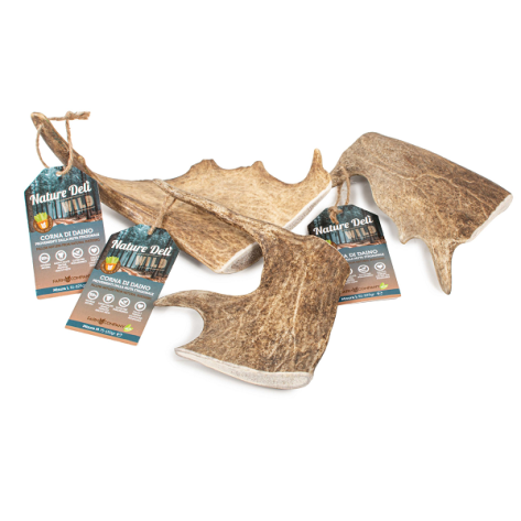 Natural Deli Wild Fallow Antlers L
