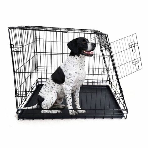 PAWS KENNEL ΤΑΞΙΔΙΟΥ MEDIUM 76*54*62cm (PAW-M)
