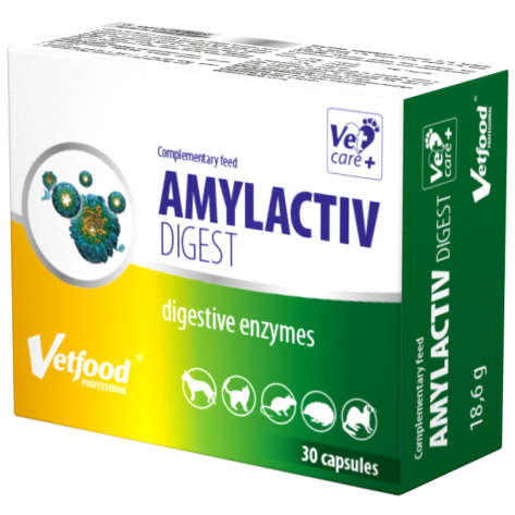 Συμπλήρωμα Διατροφής Vetfood Amylactiv Digest 30 Κάψουλες