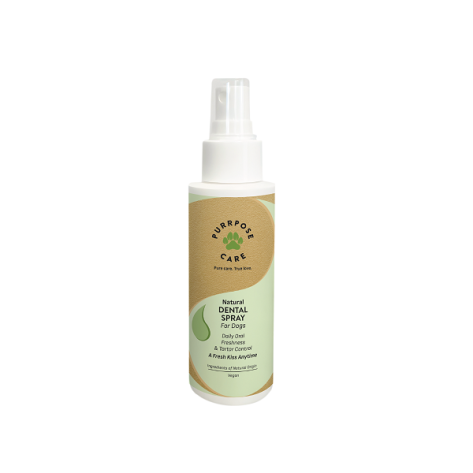 PURRPOSE CARE Dental Spray – Σπρέι Οδοντικής Φροντίδας 100ml